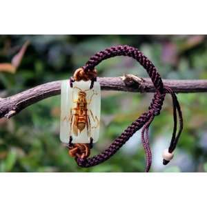  Real Amber Insect Bracelet Jewelry Jumbo Bee (Glow in the 