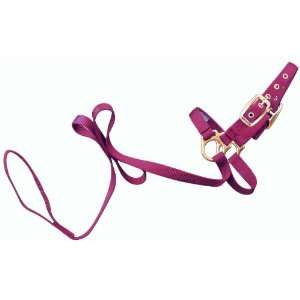  Hamilton 3/4 Sheep Show Halter with 5 ft. Lead, Wine Pet 