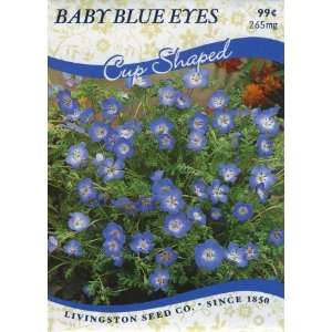  Baby Blue Eyes: Patio, Lawn & Garden