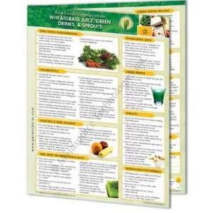 Raw Foods Vegetarianism   Wheatgrass Juice, Green Drinks & Sprouts 