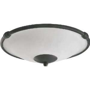   Light Ceiling Fan Light Kit Toasted Sienna 1191 844: Home Improvement