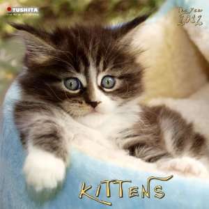  Kittens 2012 Wall Calendar: Office Products
