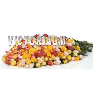14 Dozens (168 Stems) Assorted Color Roses:  Grocery 