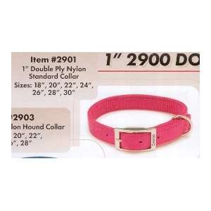  Nylon Double Collar Neon Pink 1X22: Pet Supplies