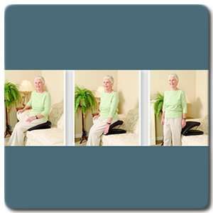    Uplift Power Seat Assist (Up to 300 lbs.): Health & Personal Care