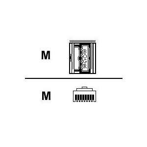  Belkin Balun cable ( F5E261 ) Electronics