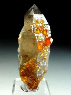 Gem Perfect Red Orange Spessartine Garnet Crystals on Smoky Quartz #1 