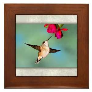  Framed Tile Black Chinned Hummingbird 
