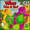   What Can It Be? A Barney Book and Tape by Stephen 