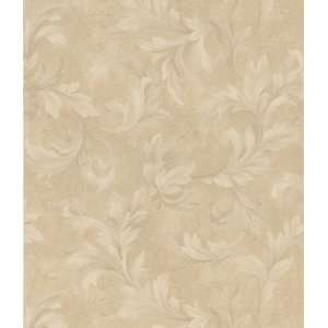 Brewster 429 6806 Scrolls and Damasks Acanthus Wallpaper, 21 Inch by 