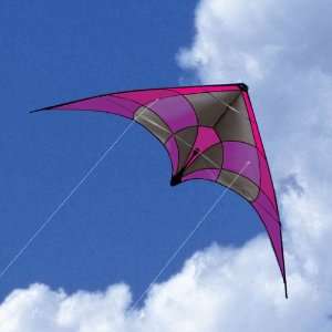  Alpha+ Dual Line Stunt Kite: Toys & Games