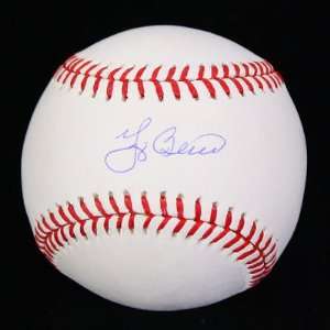  Yogi Berra Signed Baseball   Oml Psa dna: Sports 