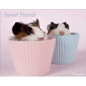  Sweet Friends Guinea Pigs skin for LG Thrill 4G 