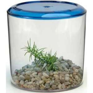   Boxed (Catalog Category: Aquarium / Plastic Fish Bowls): Pet Supplies