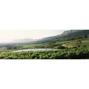  with Constantiaberg Mountain Range, Constantia, Cape Winelands, Cape 
