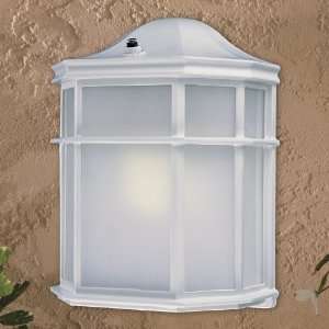  Great Outdoors by Minka 9920 44 PL Outdoor Wall Lantern in 