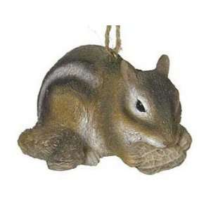  Chipmunk with Peanut Christmas Ornament: Sports & Outdoors