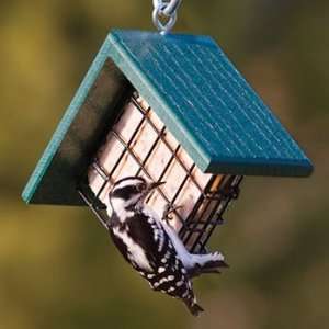  Woodpecker Suet Feeder Patio, Lawn & Garden
