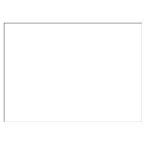  White Wove 28 lb. Envelopes: Office Products