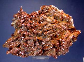 VERY FINE LARGE 6 1/2 INCH FIRE RED VANADINITE CRYSTALS ON BARITE 