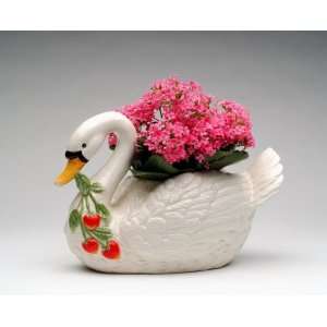    Specials     Swan Planter (Accommodates 4 Pot): Home & Kitchen