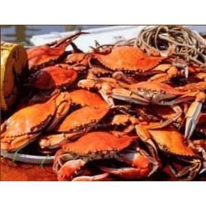 Maryland Male Blue Crabs 1 Dozen Small Size 5 to 5.5 inches  