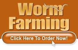BEGINNERS GUIDE TO STARTING A WORM FARM FROM SCRATCH CD  