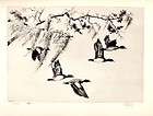 1906 Print Frank Southgate Punt Gunning Brevdon Boat Hunting Lake Duck 