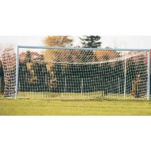  World Cup Soccer Goal: Sports & Outdoors