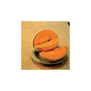  Coban Orange Flesh Melon Seeds