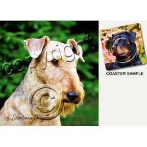  Airedale Terrier Dog Drink Coasters: Kitchen & Dining
