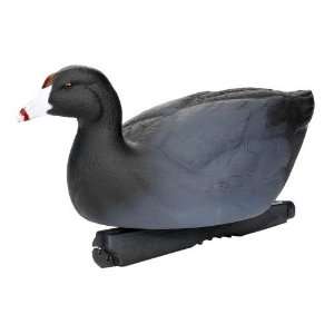   Gear Over Size Coot Decoy   6 PACK   73014