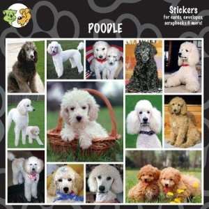  Arf Art Dog Sticker Pack Poodle: Pet Supplies