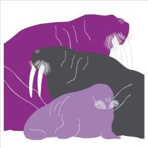  Animal   Walrus Stretched Wall Art Size: 18 x 18, Color 