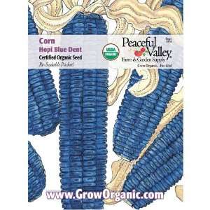  Organic Corn Seed Pack, Hopi Blue Dent Patio, Lawn 