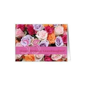  35th birthday Granddaughter, colorful rose bouquet Card 
