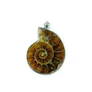  PE0144 Madagascar Ammonite Fossil Crystal Pendant Jewelry