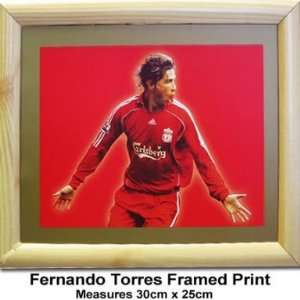 Liverpool FC Fernando Torres Print