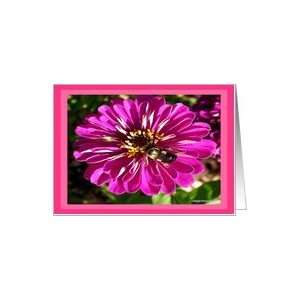  Bumble Bee/Flower Blank Note Card Card: Health & Personal 