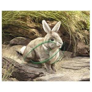  Rabbit, Cottontail Hand Puppets: Office Products