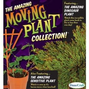 Amazing Moving Plant Collection Case Pack 12