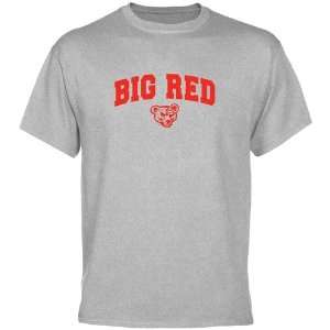  Cornell Big Red Ash Mascot Arch T shirt  Sports 