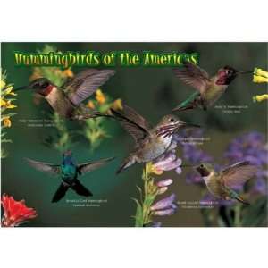  New Impact Photographics Kids Puzzle Hummingbirds 40 Piece 