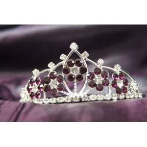   Crown with Dark Purple Crystal Flower DH15764c: Arts, Crafts & Sewing