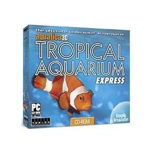 com Topics Entertainment Tropical Aquarium Express Alluring Angelfish 