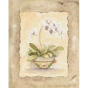 Peggy Abrams Orchid Sanderiana 12x15 Poster Print