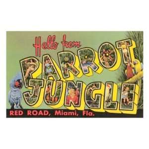  Hello from Parrot Jungle, Miami, Florida Premium Poster 