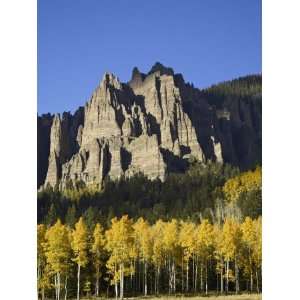 Aspens in Fall Colors with Mountains, Near Silver Jack, Uncompahgre 