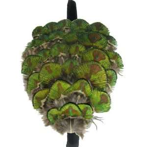  Green Peacock Feather Head Band: Home & Kitchen