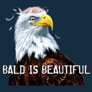  Mens Bald is Beautiful T Shirt   You pick the size Mens 